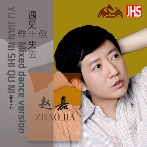 遇见你失去你 (DJ版)