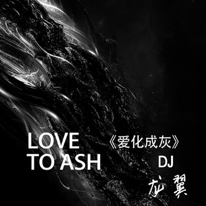 爱化成灰 (DJ版)