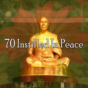 Immersive In Your Spirit