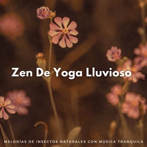 Asanas Lluviosas En Paz