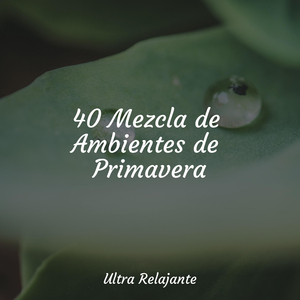 Invenciones Celestes