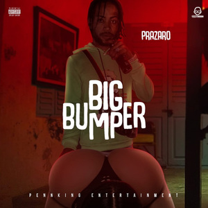 Big Bumper