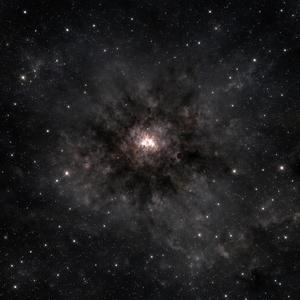 ESTRELLA MIA
