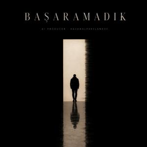 Başaramadık