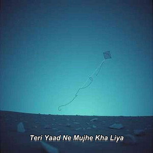 Teri Yaad Ne Mujhe Kha Liya