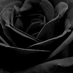 My Remedy! (feat. Becca)