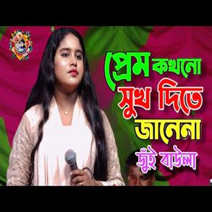 প্রেম কখনো সুখ দিতে জানে না