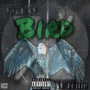 Bird (feat. YM RAY & XØ Louie)