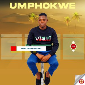 Awungitshele