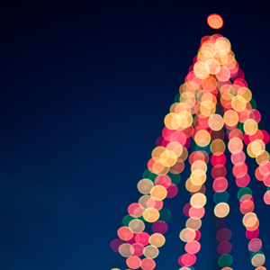 Berry Merry Christmas