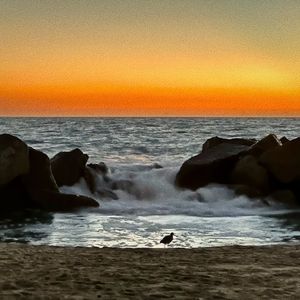 The Lake of Narcissus