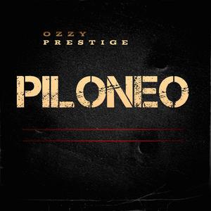 Piloneo