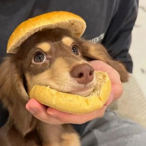 念旧的人最怕突然的问候（氛围感）