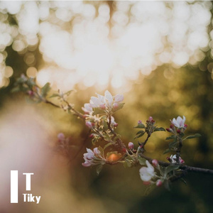 月光弦音寄相思