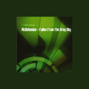 Fallen From The Grey Sky