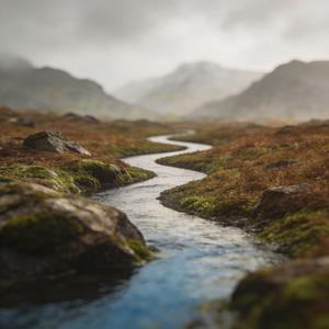 I didn't run from the rain