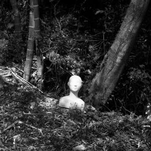 烬（cover老柯先生）