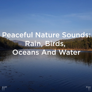 수면을위한 바다의 소리