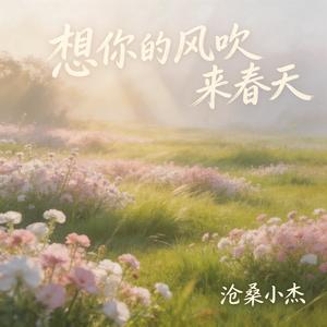 想你的风吹来春天