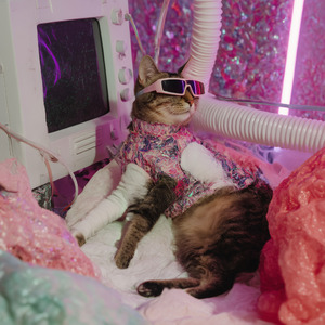 หางสะบัด