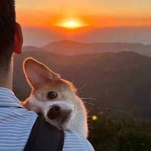 空调外机忏悔录