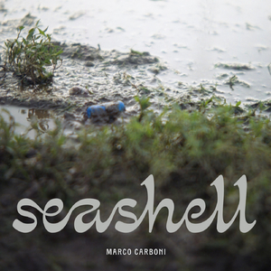 Seashell