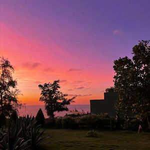 掀挥穆行舶菩颂侨劫揭济