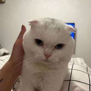 遥不可及的你