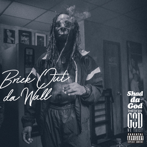 Brick Out da Wall