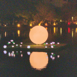 轮回之境_赵D3.mp3