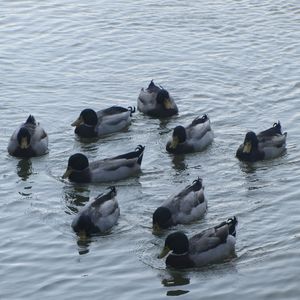 我想成为你的明星