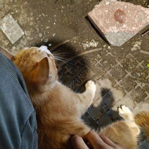 那个时候我们刚满十八岁