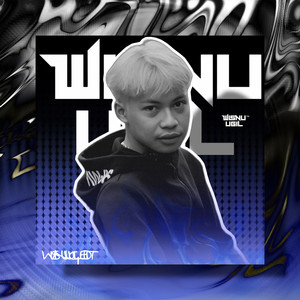 DJ WENABEST GAK USAH BELAGU MASHUP X MY BACK