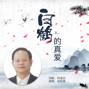 白鹤的真爱 (DJ版伴奏)