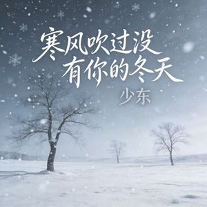 寒风吹过没有你的冬天