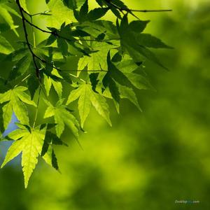 There is a boat at the ferry