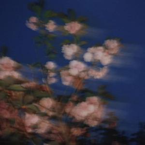 秋子 (prod by Rising Beat)