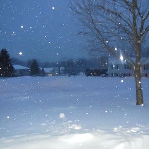 冬日雪₍ᐢ..ᐢ₎♡