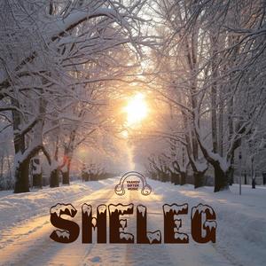 Sheleg