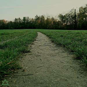 Offroad (Demo Version)