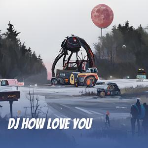 Dj How Love You