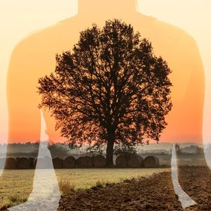 秋的味道写在风里