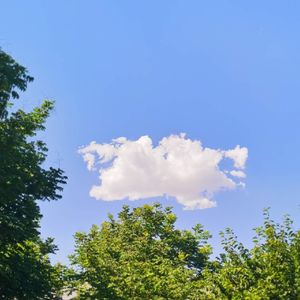 怎么知道云朵下一秒的形状