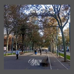 Rap en breve