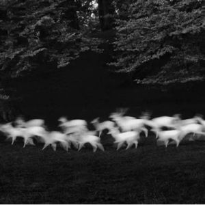 无法逃离 Prod.bloocharmin&Jpr