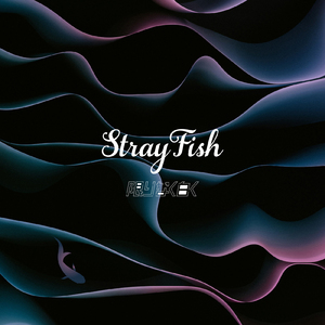 Stray Fish