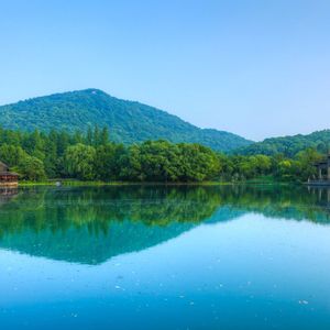 松塔轻响与落叶间的钢琴幽梦