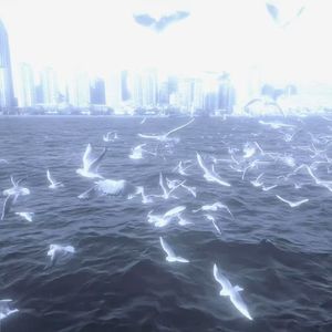 FREE " 海风 Pt.2 " - Afrobeatz X Afro Type Beat