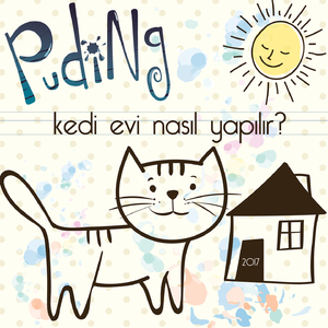 Kedi Evi Nasıl Yapılır?