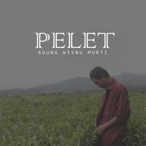 Pelet